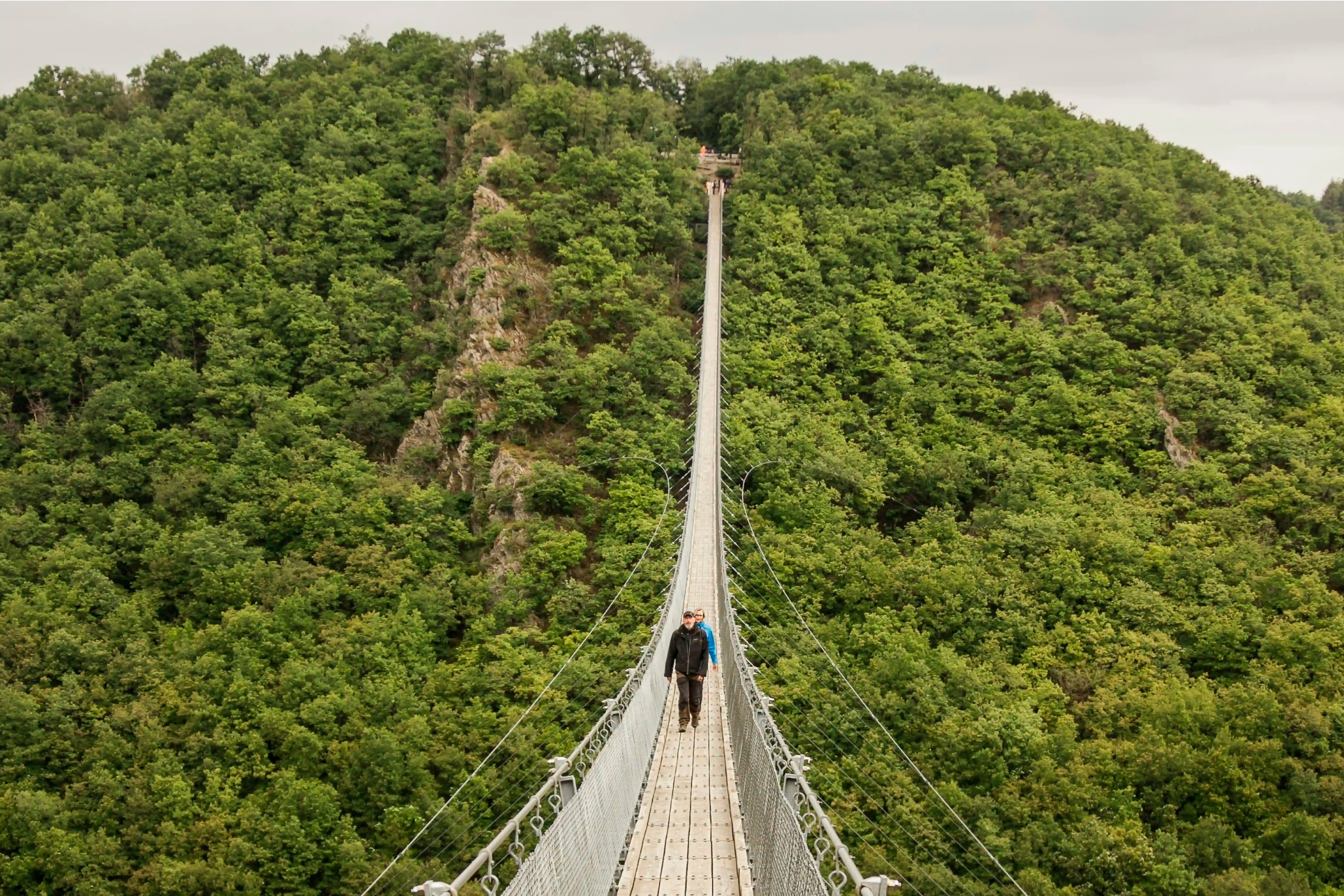 Los tipos de fobias más comunes