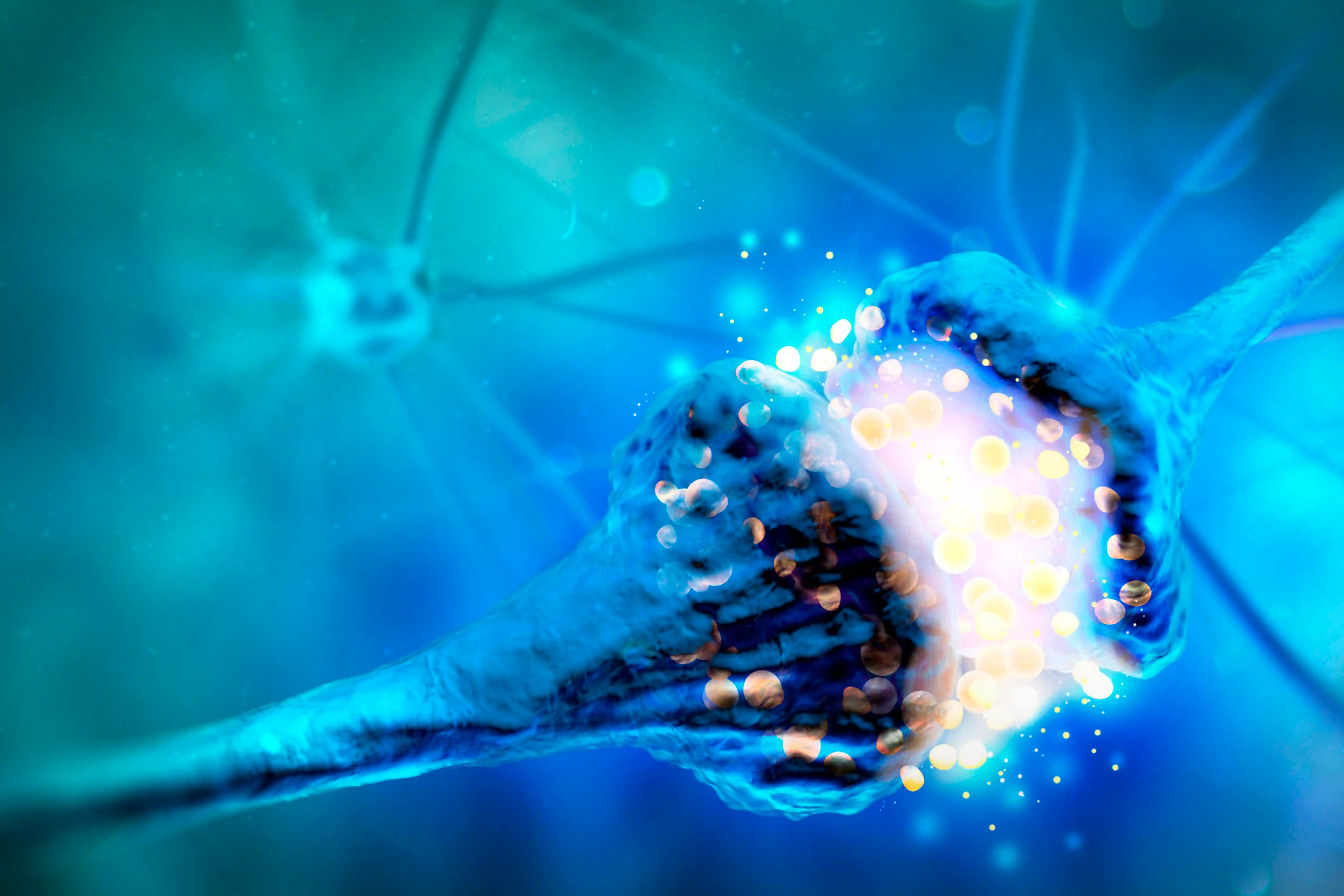 Qué son los sistemas cognitivos