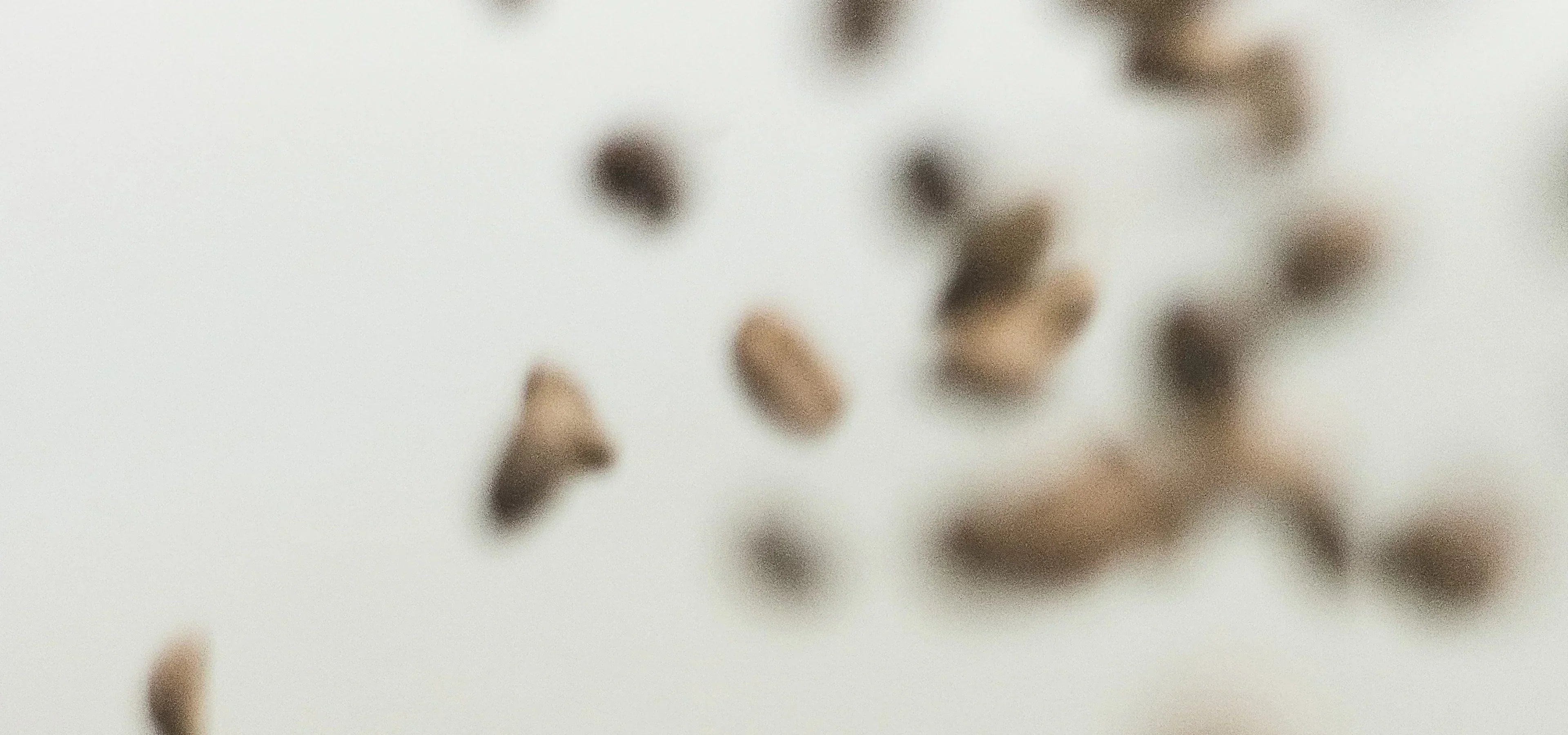 Más energía sin cafeína