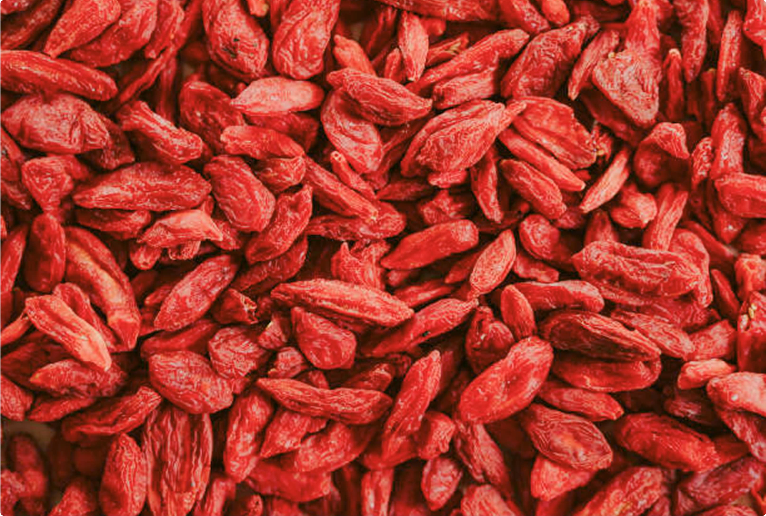 Qué son las bayas de goji