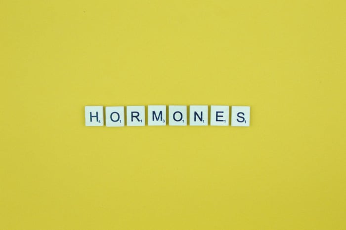 hormonas femeninas como se comportan