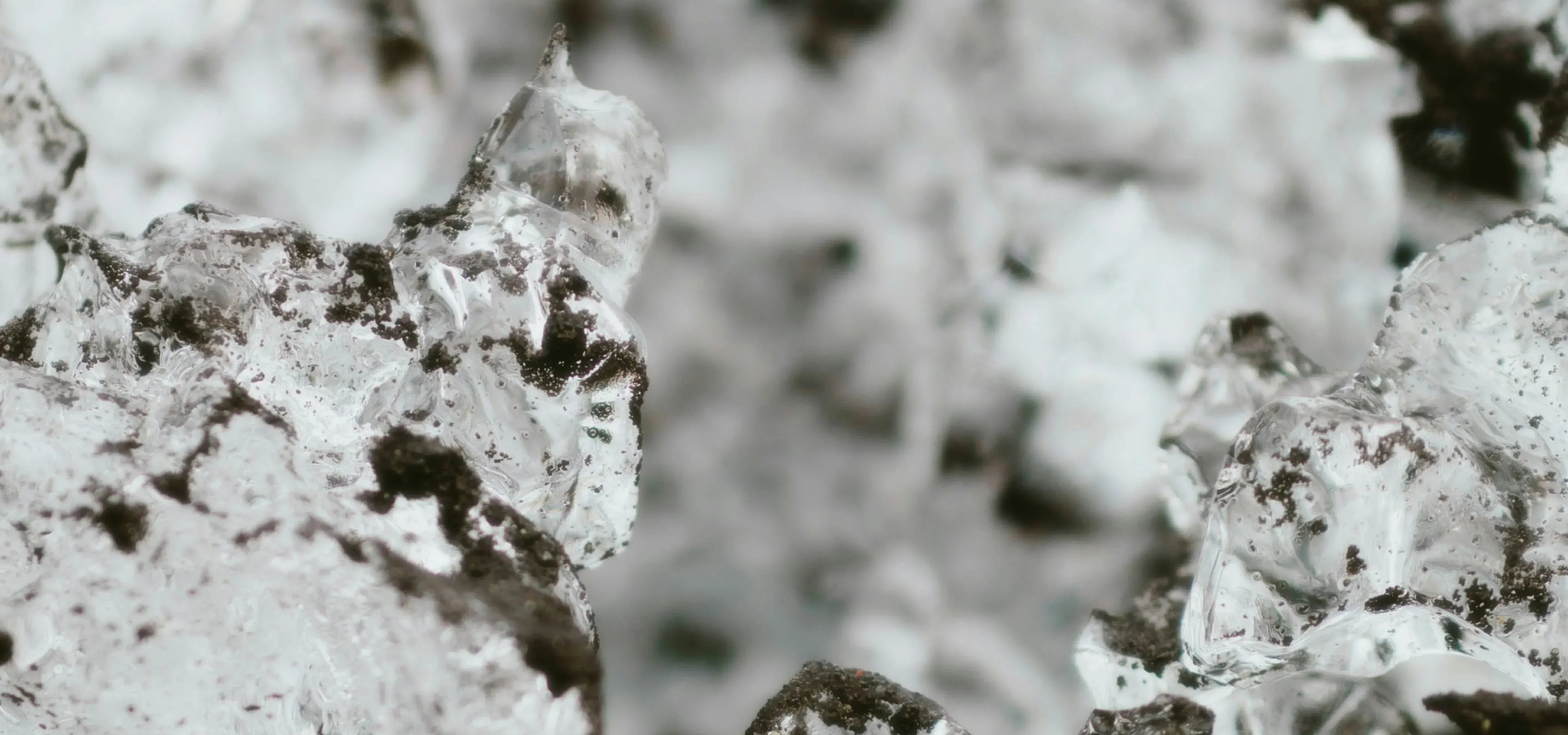 magnesio para que sirve