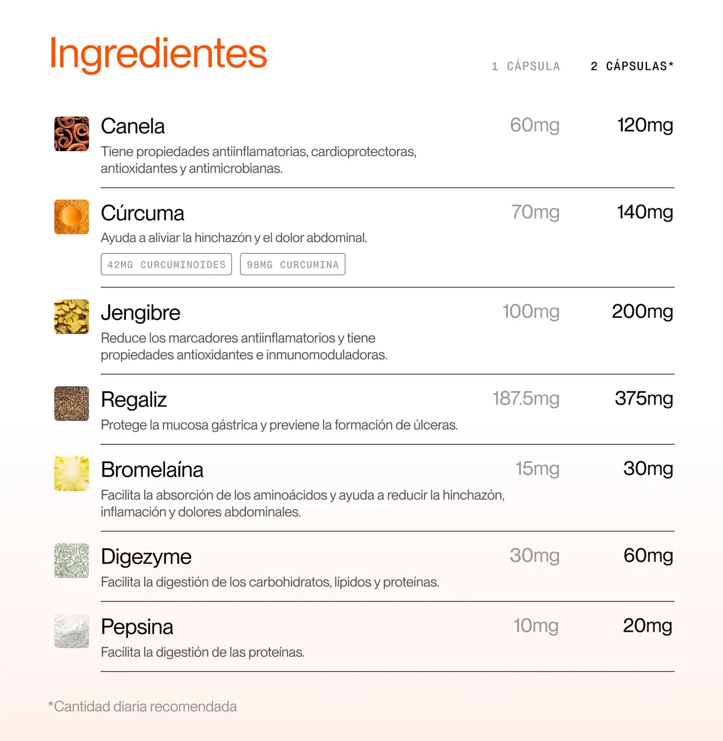 Digest ON – NEW