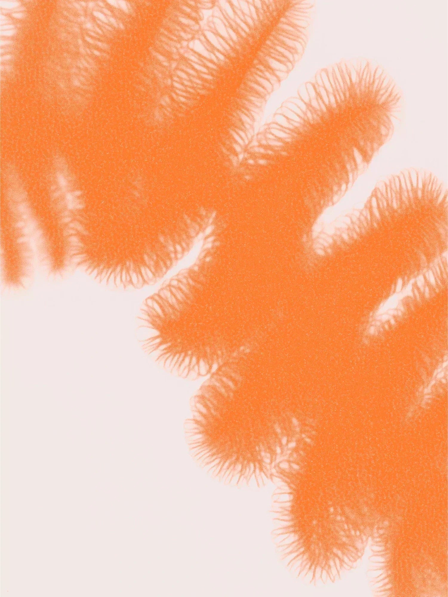 Perimenopausia y cortisol: todo lo que debes saber