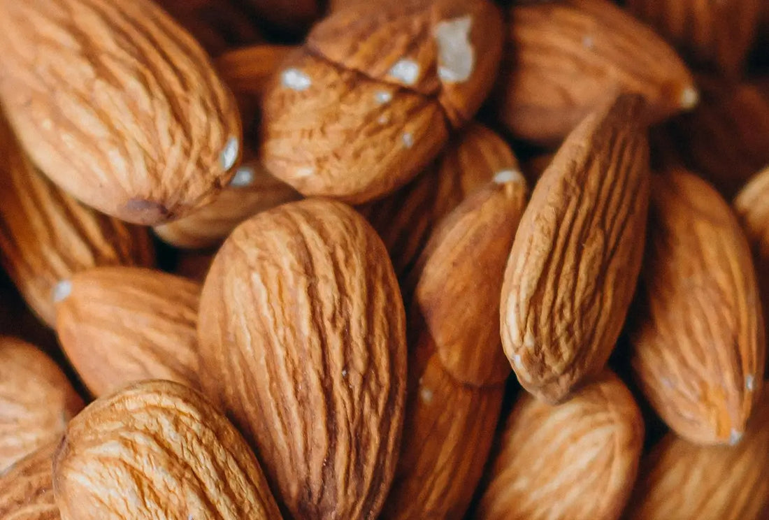 Propiedades y beneficios de la Vitamina B12