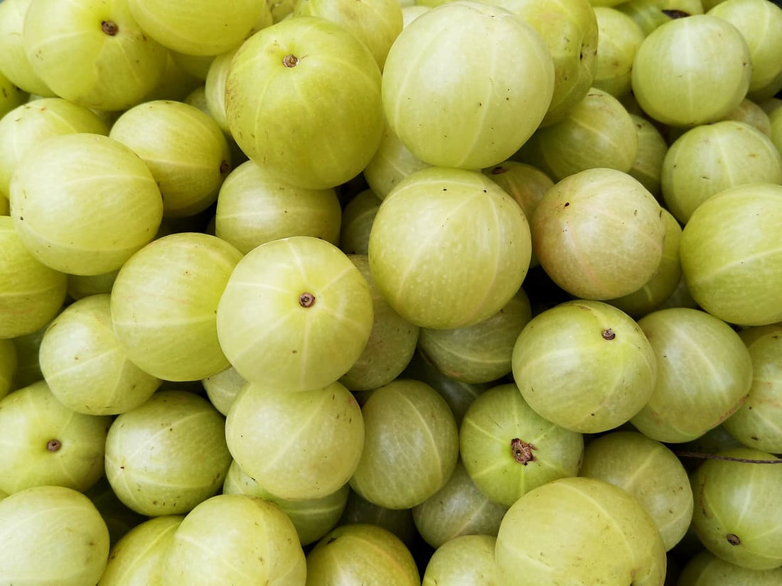 Propiedades y beneficios del amla