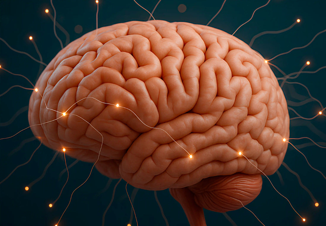 Qué conocemos por salud cognitiva