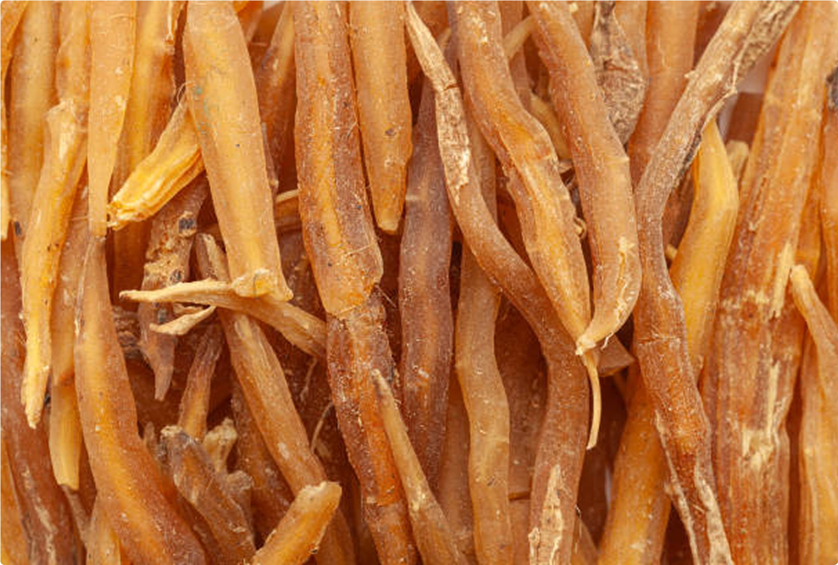 Propiedades y beneficios del asparagus racemosus