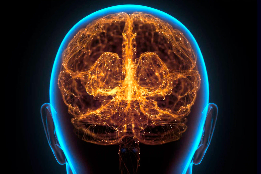 Cómo saber si sufro trastornos cognitivos