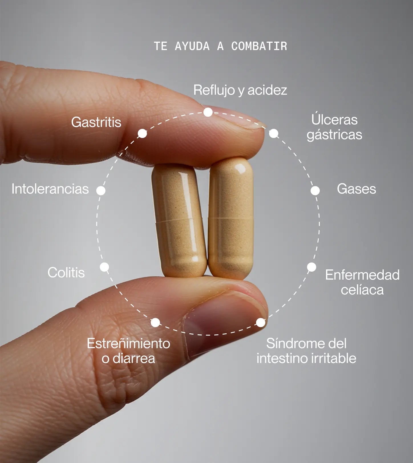 Set Electra & Digest On