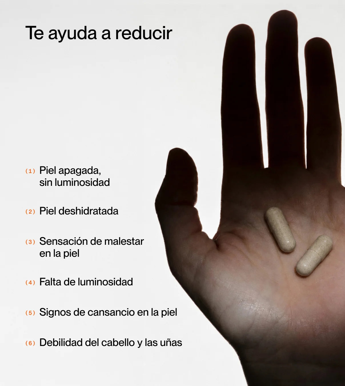 Skin Repair - Muse